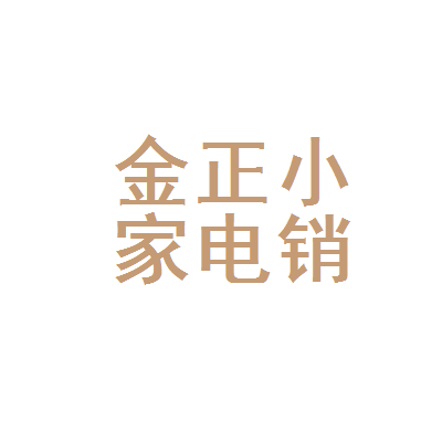 安康市汉滨区金正小家电销售部